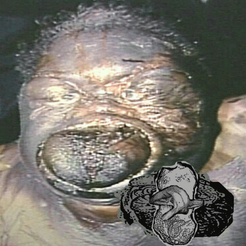 Ingesting Liquid Adipocre of the Recently Drowned